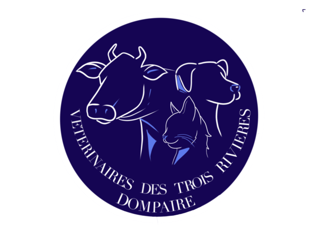 logoeva